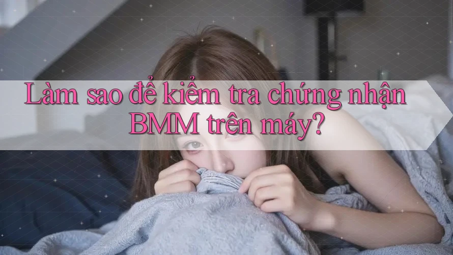 Làm sao để kiểm tra chứng nhận BMM trên máy?