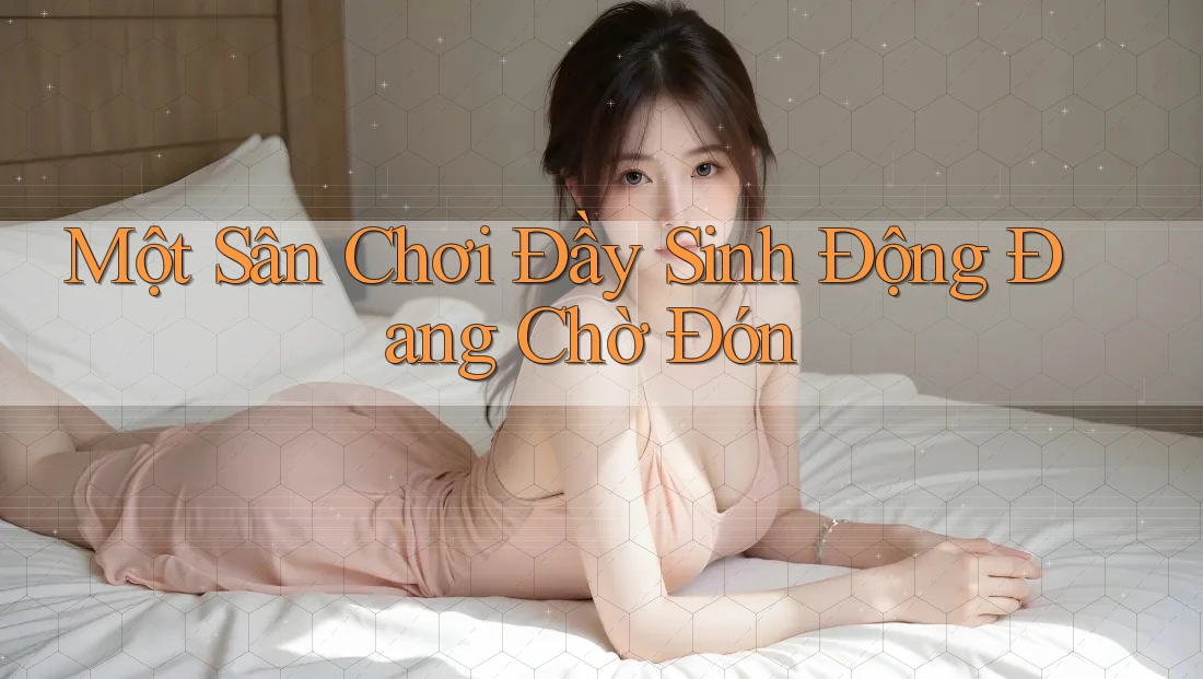 Một Sân Chơi Đầy Sinh Động Đang Chờ Đón